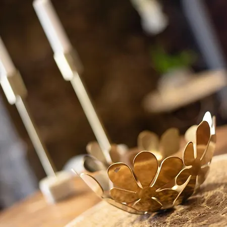 La Planta Vieja I Apartmán La Orotava