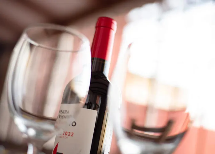 La Planta Vieja I * La Orotava